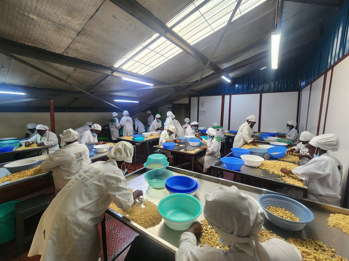 Meet the Women Behind Your Macadamia