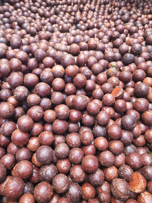 Macadamia Nuts