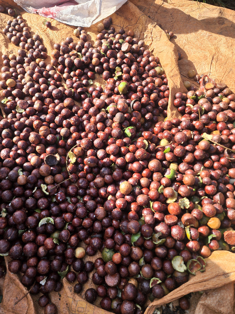 5,000 agricultores, cero intermediarios