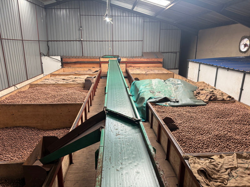 Processing Facility Built